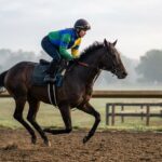 A female jockey in a green, blue, and yellow shirt and black helmet rides a dark brown horse on a dirt track. A white